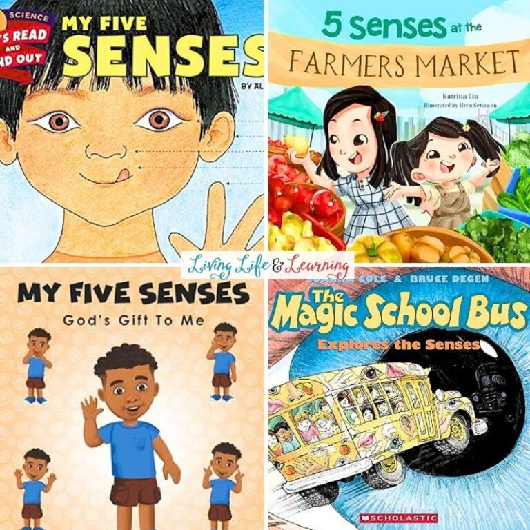 5 Senses Books for Preschool Essential Reads