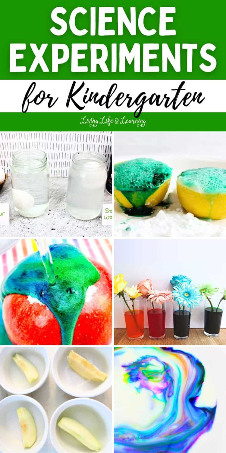 Science Experiments For Kindergarten: Learning Made Fun
