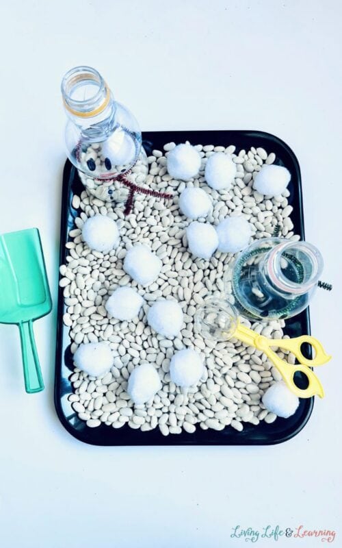 Fun Snowman Sensory Bin for Winter Learning