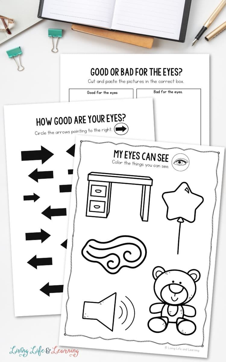 Various pages from the Eyes Worksheet for Kindergarten