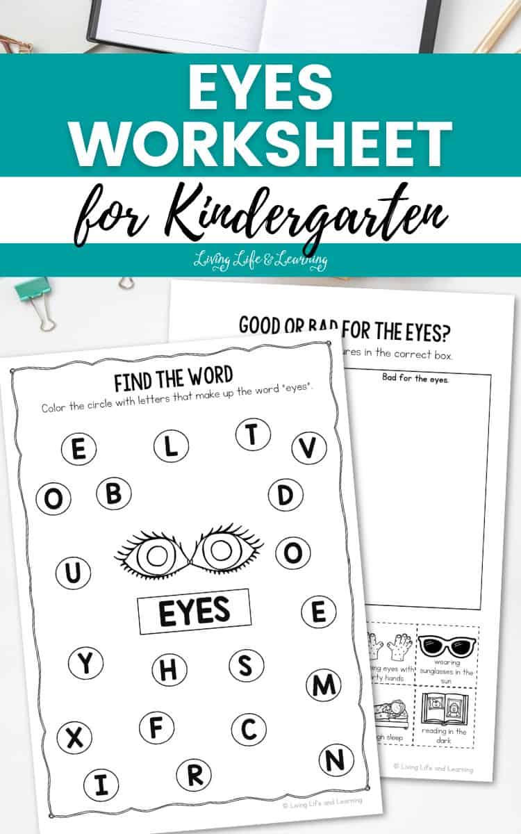 Two pages included in the Eyes Worksheet for Kindergarten