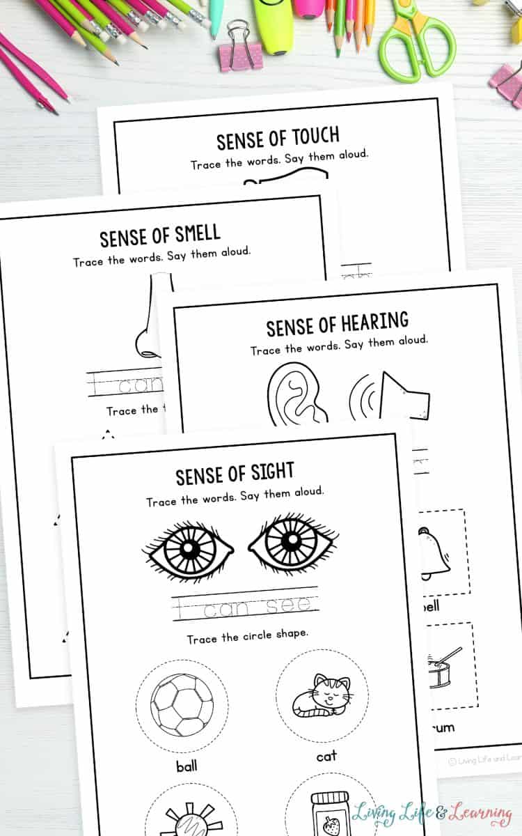 pages of 5 Senses Tracing Worksheets on a table