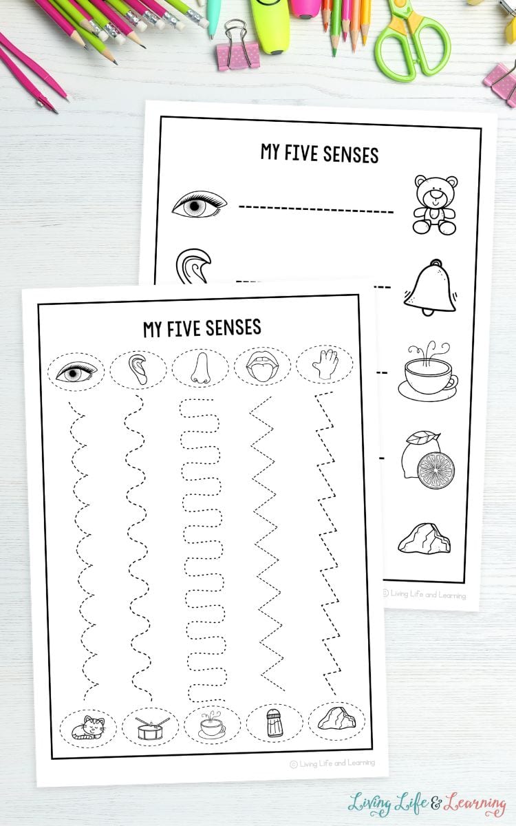 two 5 Senses Tracing Worksheets on a table