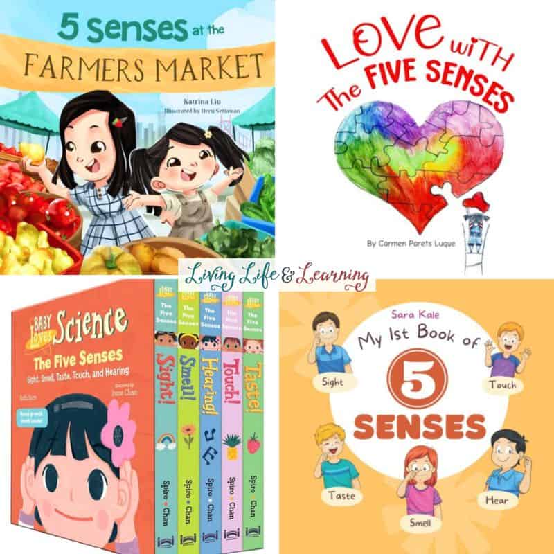 collage of Five Senses Books for Toddlers