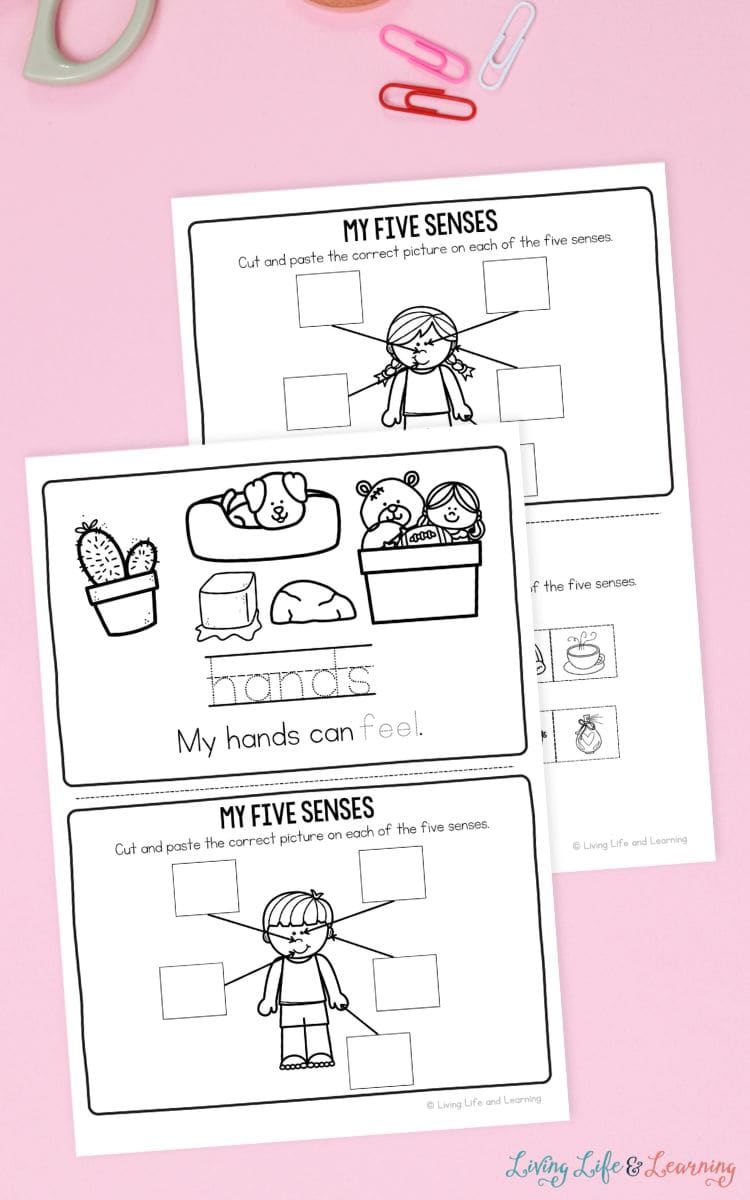 two pages of My Five Senses Booklet