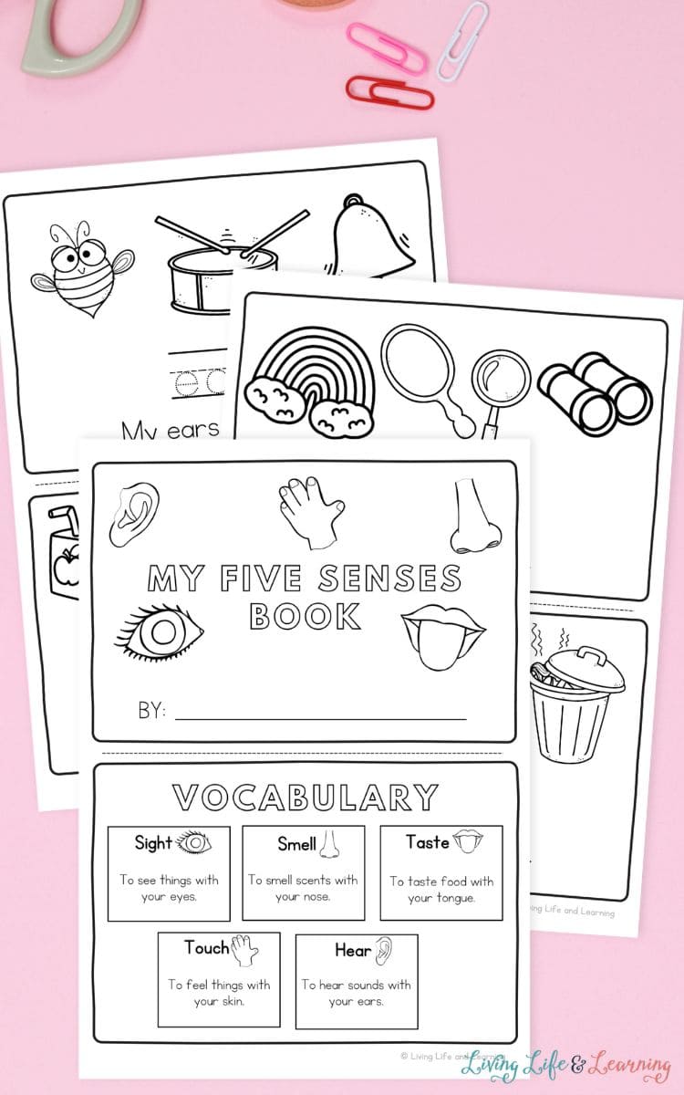 pages of My Five Senses Booklet on a table