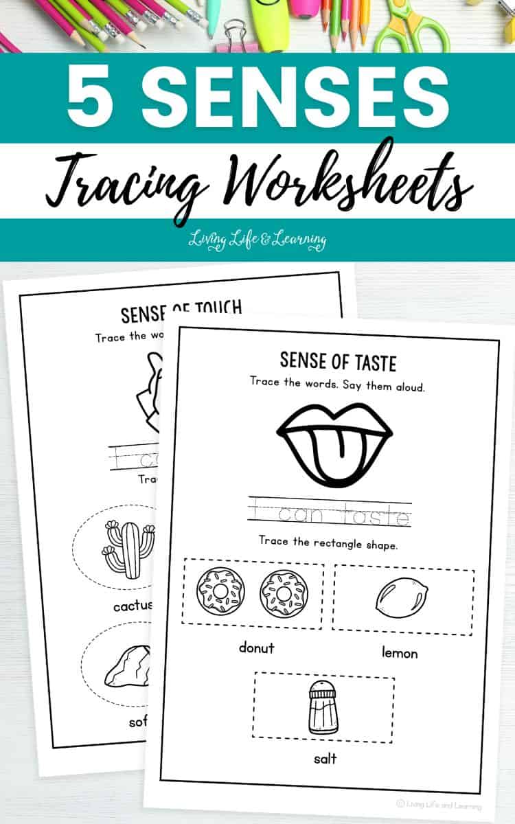 two 5 Senses Tracing Worksheets on a table