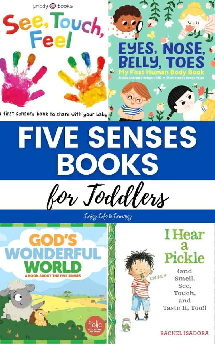 collage of Five Senses Books for Toddlers