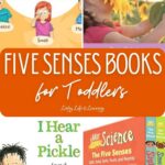 collage of Five Senses Books for Toddlers
