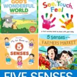 collage of Five Senses Books for Toddlers