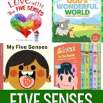 collage of Five Senses Books for Toddlers