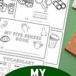 pages of My Five Senses Booklet on a table