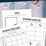 Ocean Worksheets for Preschool on a table