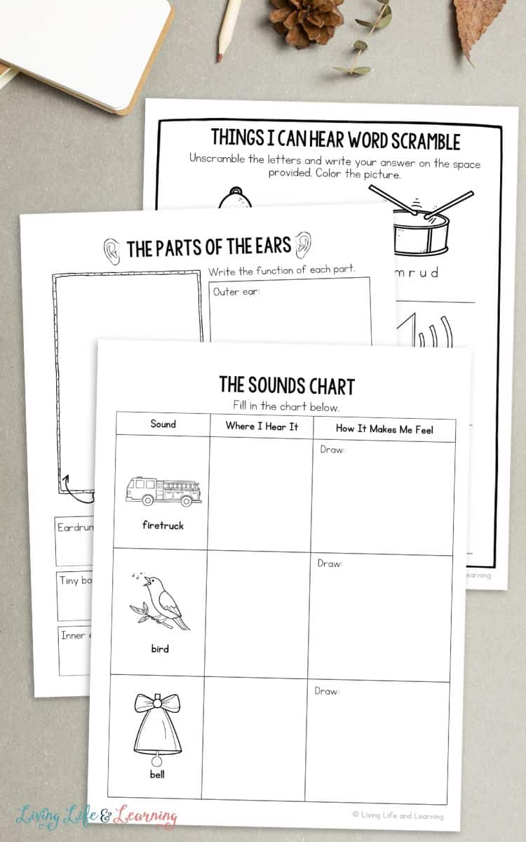 pages of Ear Worksheets for Kids