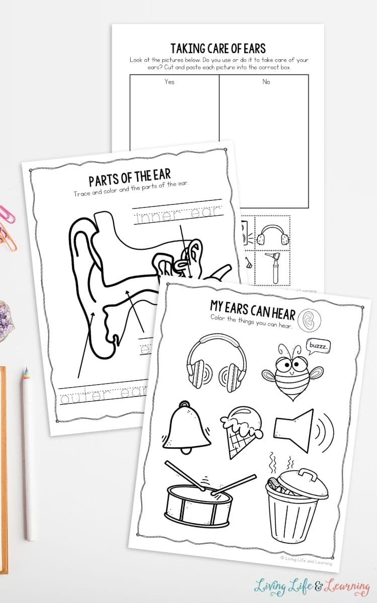 three Ear Worksheets for Kindergarten on a table