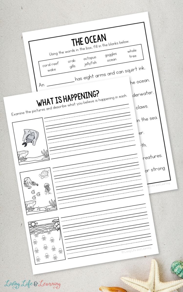 pages of Ocean Worksheets for Elementary on a table