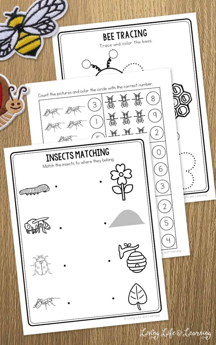 three Preschool Insect Worksheets on a table