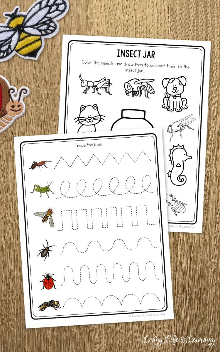 two activities included in the Preschool Insect Worksheets on a table