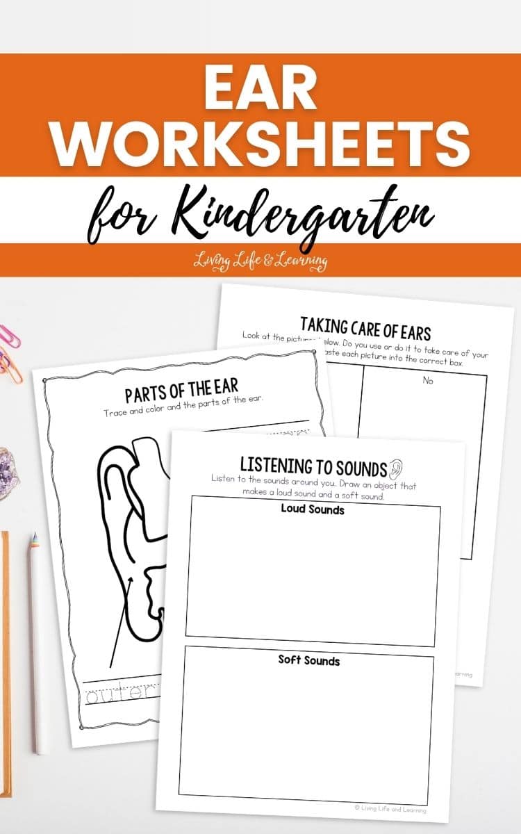 Ear Worksheets for Kindergarten on a table