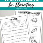 Ocean Worksheets for Elementary placed on a table