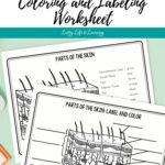 Skin Diagram Coloring and Labeling Worksheet on a table