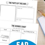 pages of Ear Worksheets for Kids