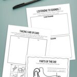 Ear Worksheets for Kindergarten on a table