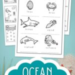 pages of Ocean Worksheets for Elementary