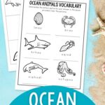 pages of Ocean Worksheets for Elementary