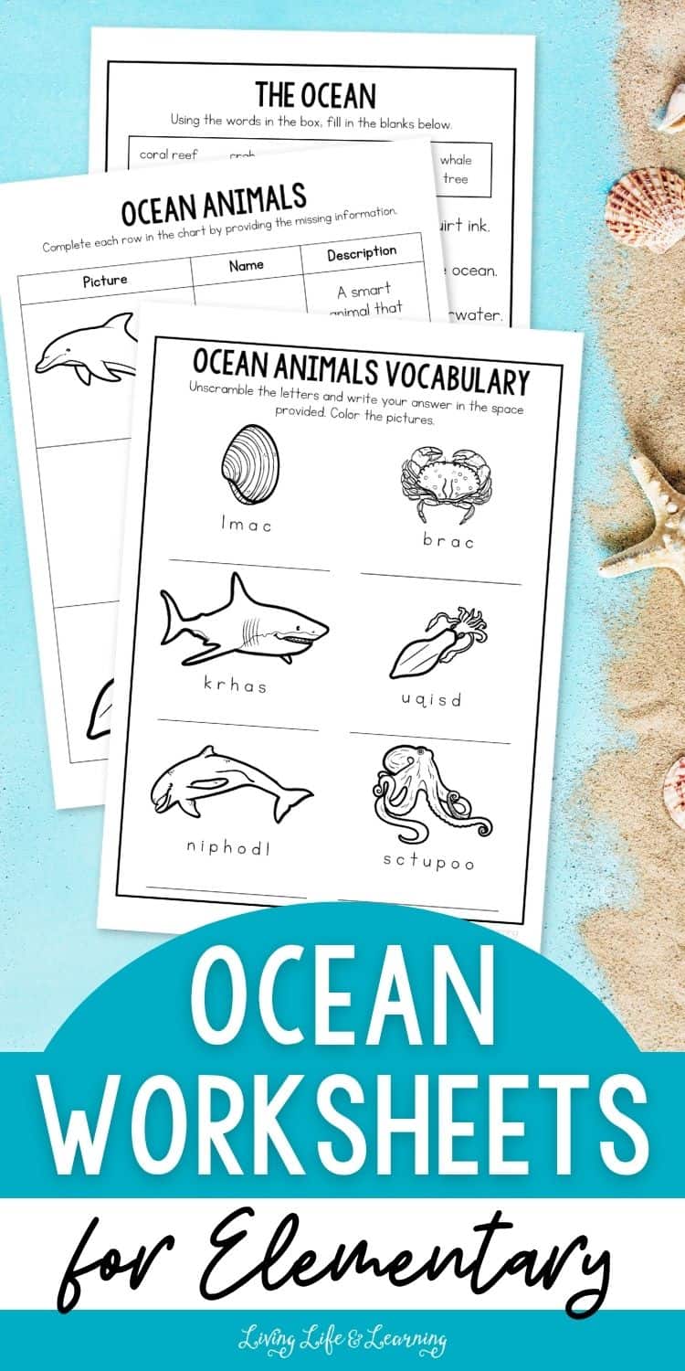 Ocean Worksheets For Elementary Themed Lessons 