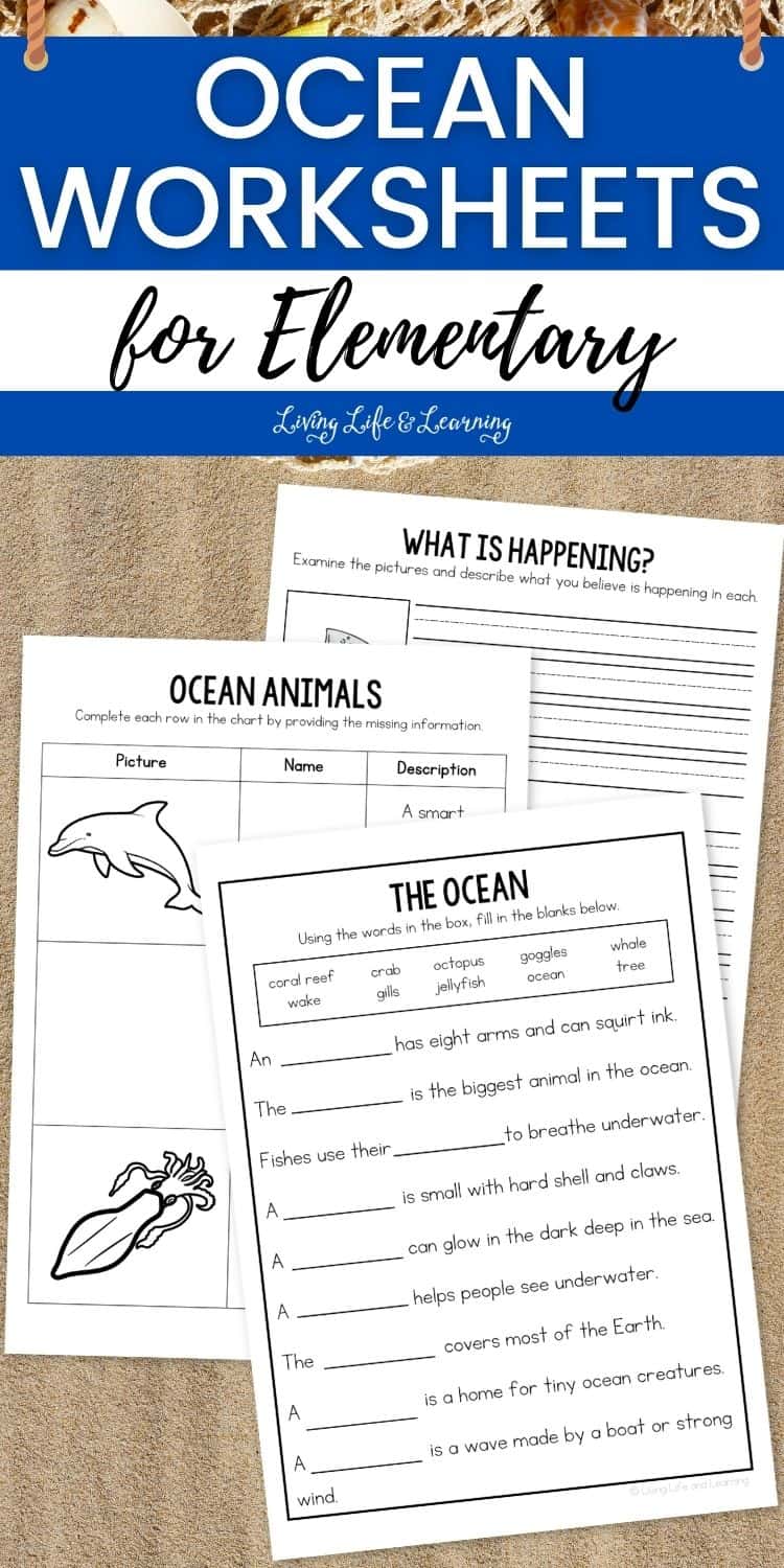 Ocean Worksheets For Elementary Themed Lessons 