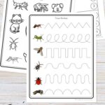 Preschool Insect Worksheets on a table