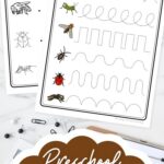 Preschool Insect Worksheets on a table