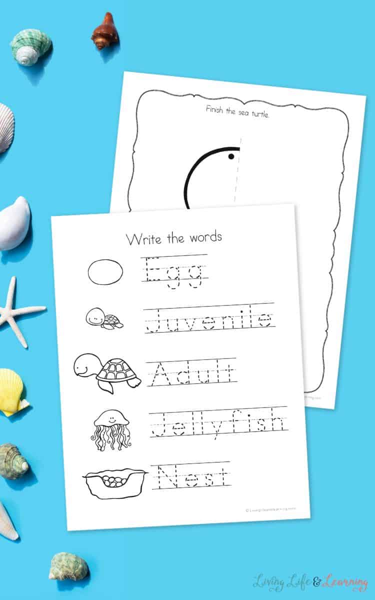 two activities included in the Sea Turtle Worksheets for Kindergarten