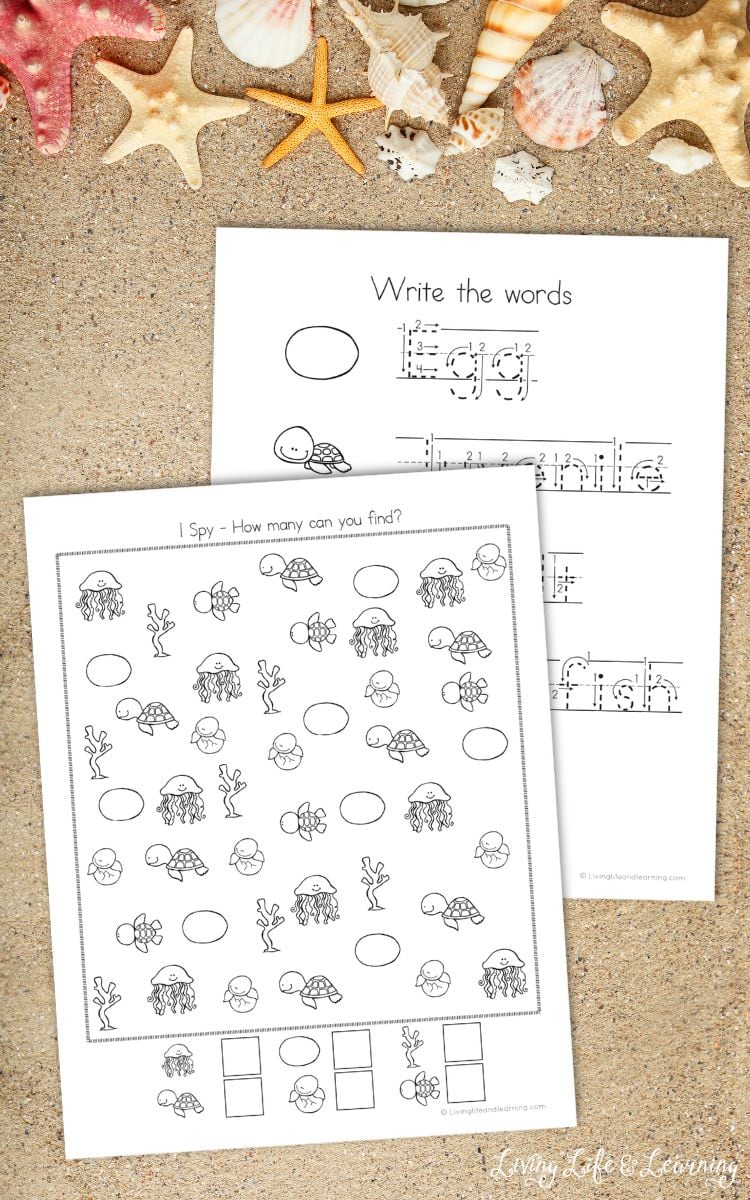 Sea Turtle Worksheets for Preschool on a table