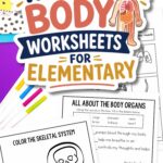 pages of Human Body Worksheets for Elementary