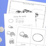 Sea Turtle Worksheets for Kindergarten on a table