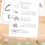 Sea Turtle Worksheets for Kindergarten on a table