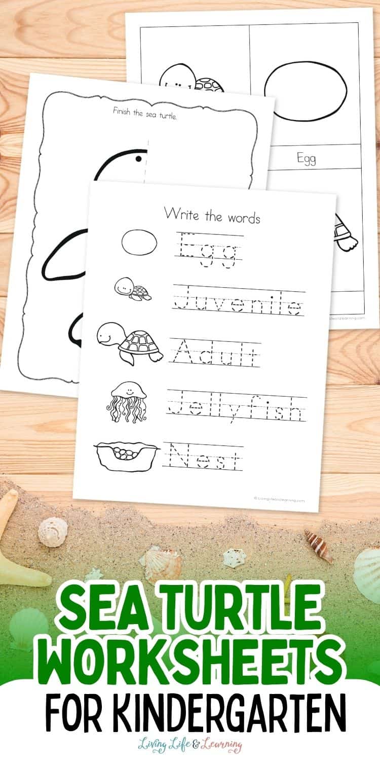 Sea Turtle Worksheet.pdf Sea Turtle Worksheets for Kindergarten: Fun and Engaging Ideas