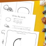 Sea Turtle Worksheets for Kindergarten on a table