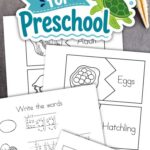 activities included in the Sea Turtle Worksheets for Preschool