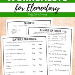 three Sea Turtle Worksheets for Elementary on a table