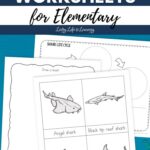 Shark Worksheets for Elementary on a table