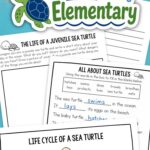 Sea Turtle Worksheets for Elementary on a table