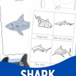 pages of Shark Worksheets for Elementary on a table