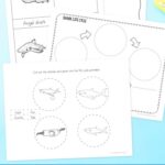 pages of Shark Worksheets for Elementary on a table