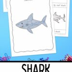 pages of Shark Worksheets for Elementary on a table