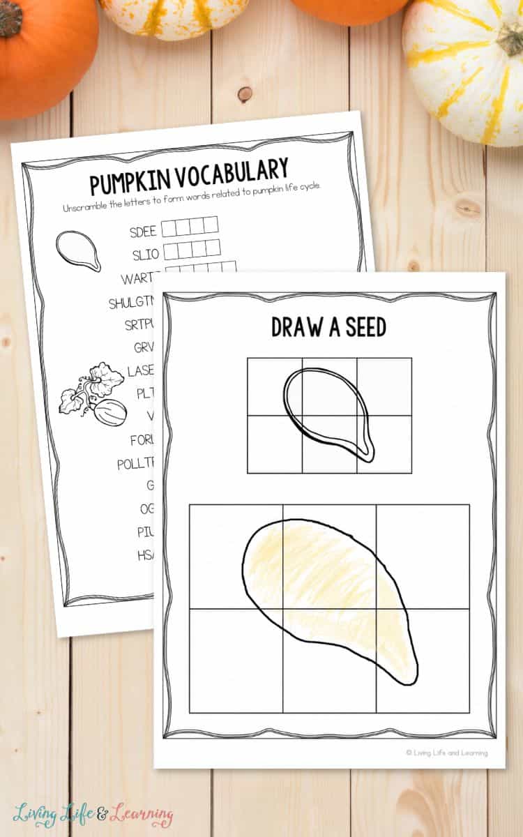 two pages of Pumpkin Worksheets for Elementary