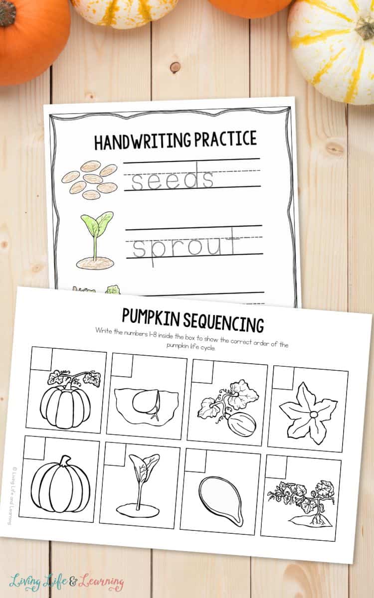 two activities included in the Pumpkin Worksheets for Elementary