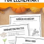 three pages of Pumpkin Worksheets for Elementary on a table